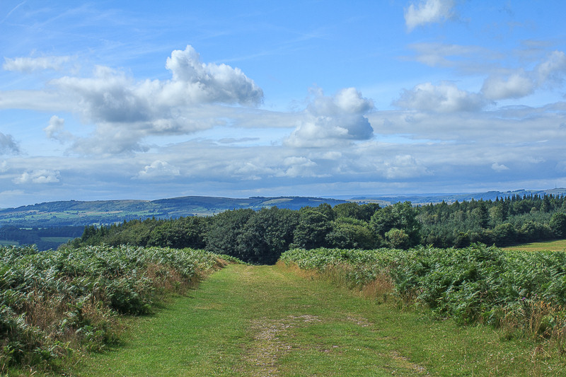Longstone Edge Longstone Edge